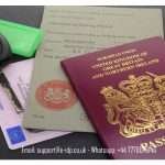 International Driver's Permit