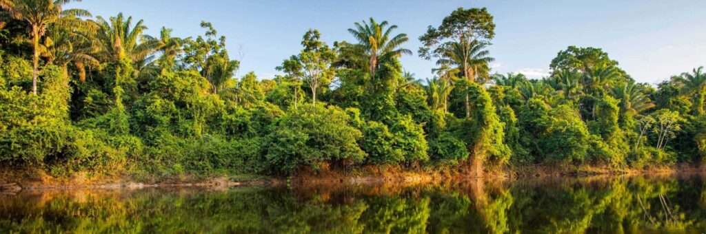 international driving permit Suriname