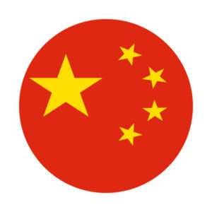 International Driving Permit China