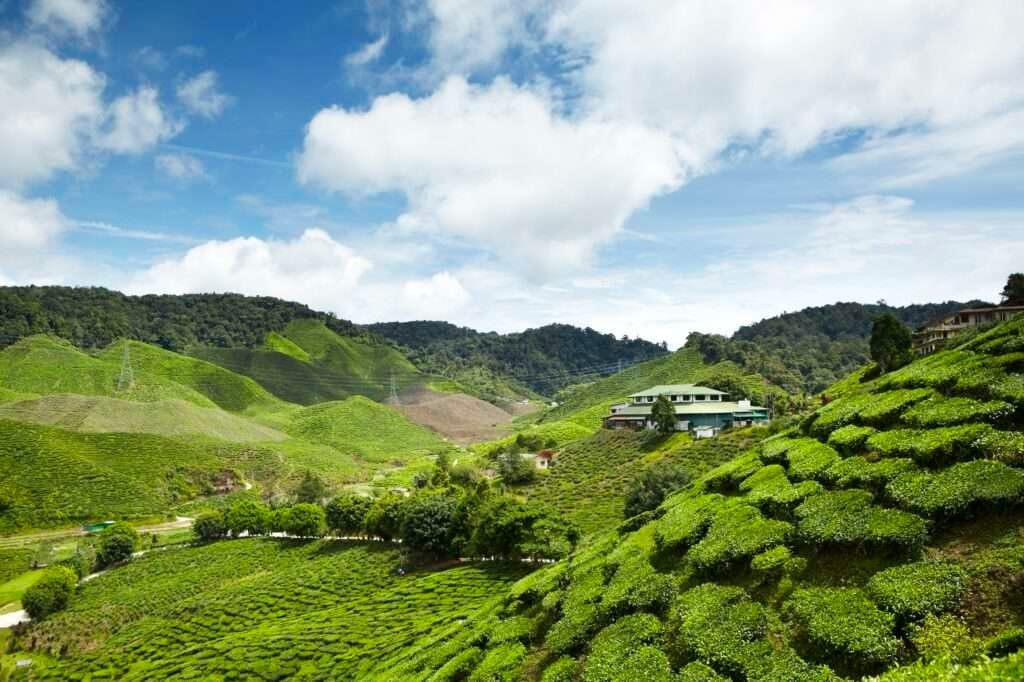 Malaysia Driving Guide