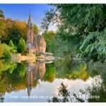 international driver's license