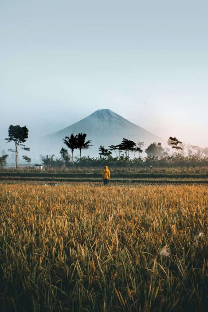 IDP apply online Indonesia