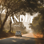 Driving Guide to India International Drivers License