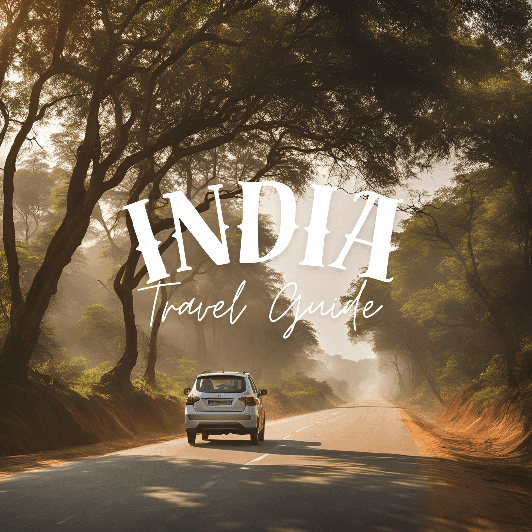 Driving Guide to India International Drivers License