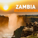 Zambia Driving Guide