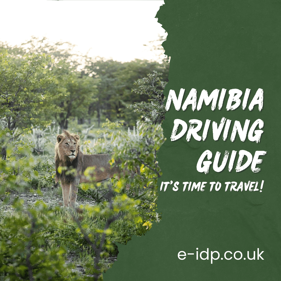 Namibia Driving Guide