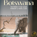 Botswana Travel Guide