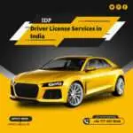 international driving permit