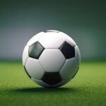 international driving permit