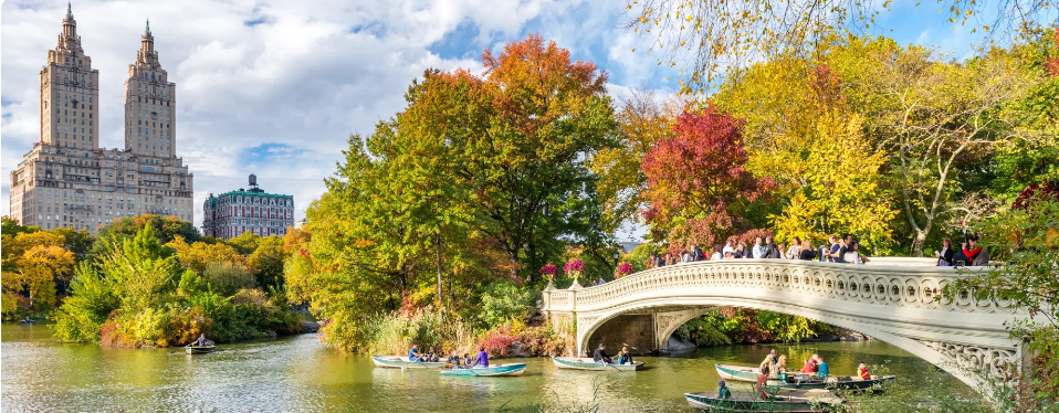 international driving permit usa